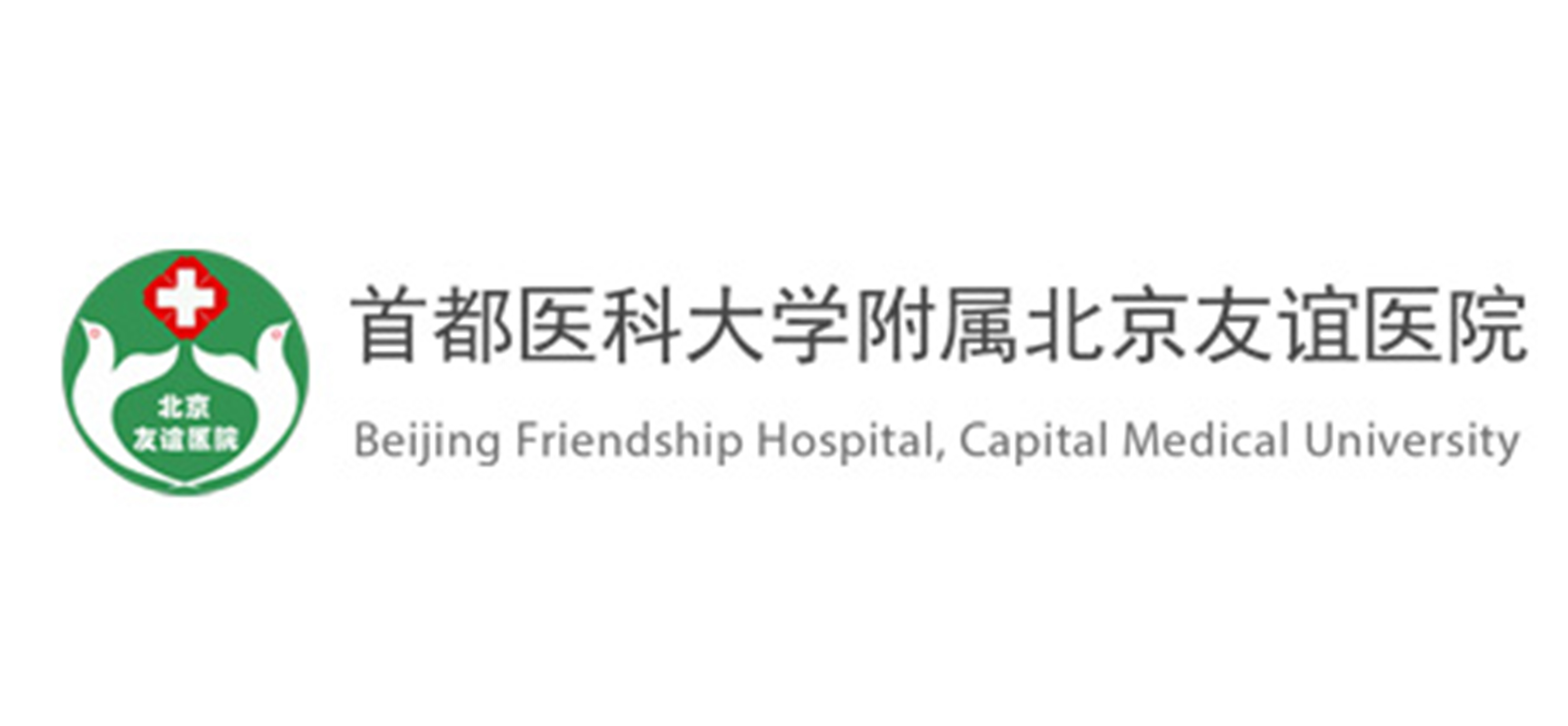 首都醫(yī)科大學(xué)附屬北京友誼醫(yī)院