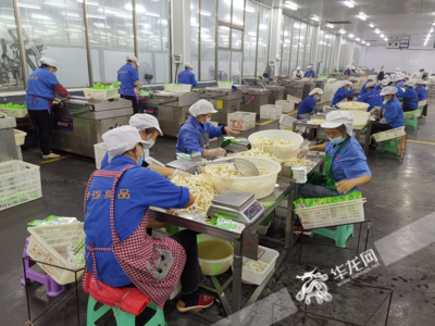 重慶特珍食品車間內,工人們在加工金佛山方竹筍。華龍網記者 伊永軍 攝