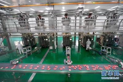 涪陵榨菜:"青疙瘩"變"金疙瘩"