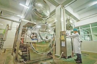 擺脫 小作坊 重慶食品加工業怎樣做大做強