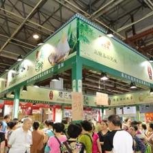 2019成都、重慶國際食品博覽會暨端午粽子文化節正式啟動