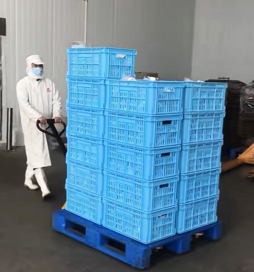 食品廠流水線上班一天,站了12個小時,打工者 一個月瘦了十幾斤