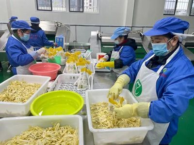 桐梓大婁山方竹筍遠銷重慶上海