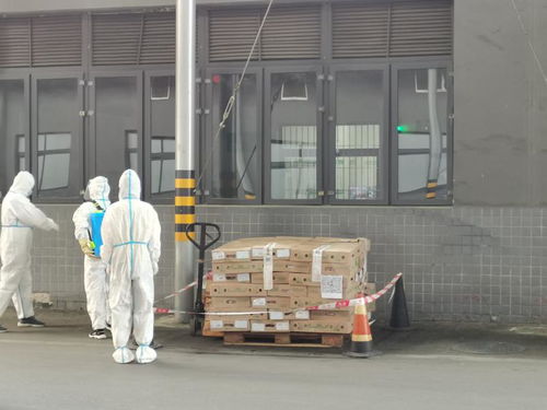 重慶市璧山區(qū)開展進(jìn)口冷鏈?zhǔn)称芬咔榉揽貞?yīng)急演練