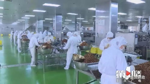 重慶 政府過 緊日子 老百姓過 好日子